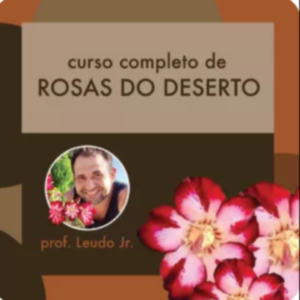 Curso Completo de Rosas do Deserto