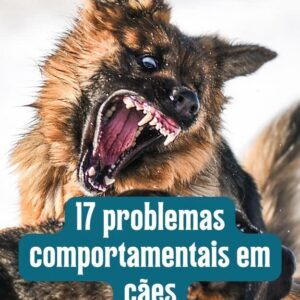 17 problemas comportamentais em cães
