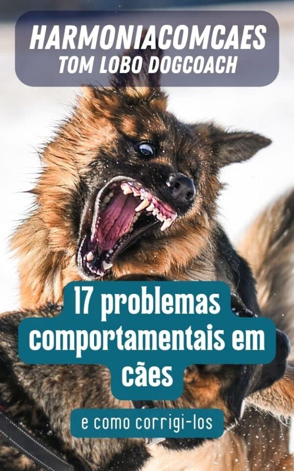 17 problemas comportamentais em cães